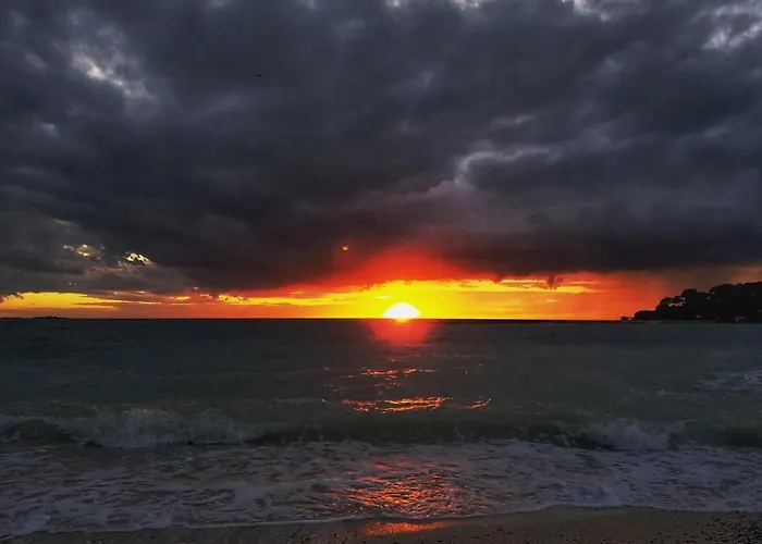 White Jasmin 메덜린