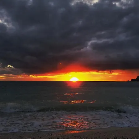 White Jasmin Medulin