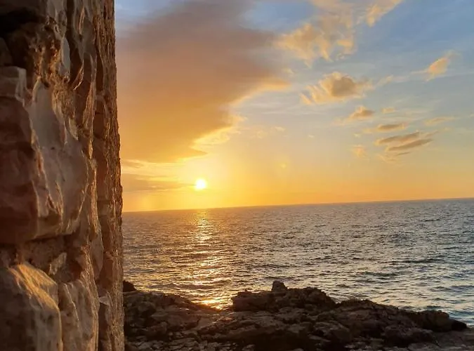 White Jasmin Medulin